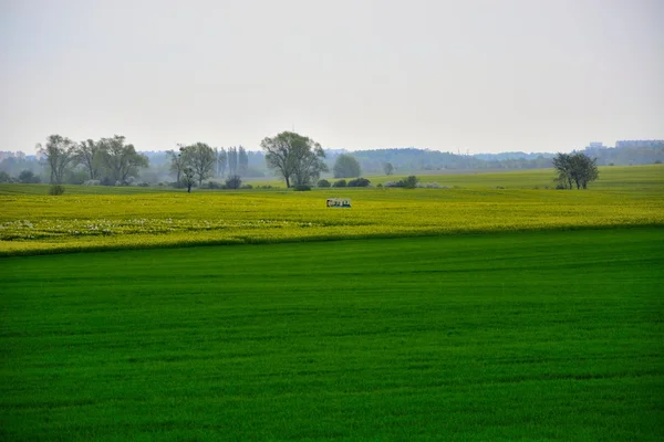 Outside the city - rural landscape - a field — Stock Photo, Image