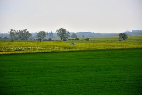 Outside the city - rural landscape - a field — Stock Photo, Image