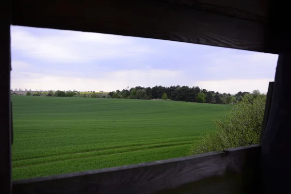 Outside the city - rural landscape - a field — Stock Photo, Image