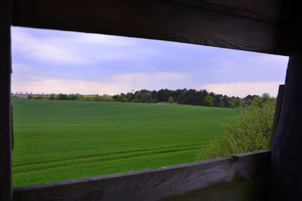 Outside the city - rural landscape - a field — Stock Photo, Image