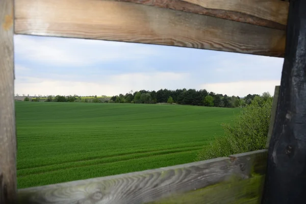 Außerhalb der Stadt - ländliche Landschaft - ein Feld — Stockfoto