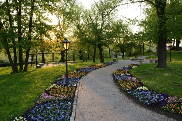 Green parks in Poland — Stock Photo, Image