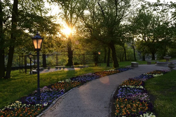 Groene parken in Polen — Stockfoto