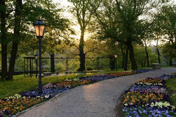 Groene parken in Polen — Stockfoto