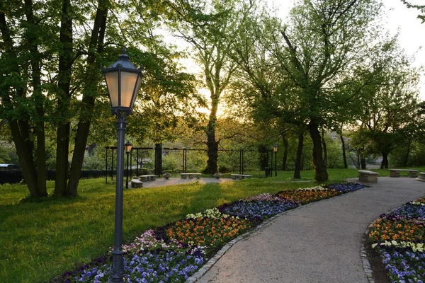 Groene parken in Polen — Stockfoto