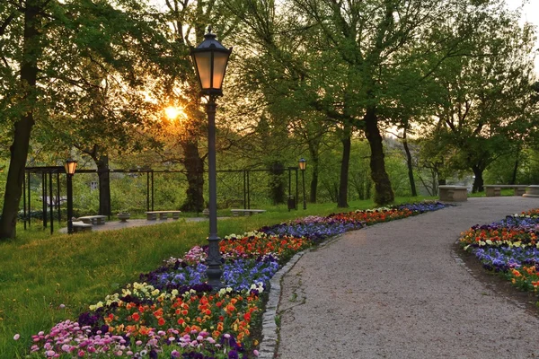 Groene parken in Polen — Stockfoto