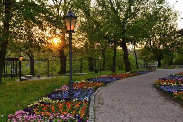 Green parks in Poland — Stock Photo, Image