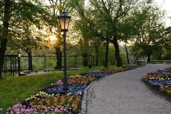 Groene parken in Polen — Stockfoto