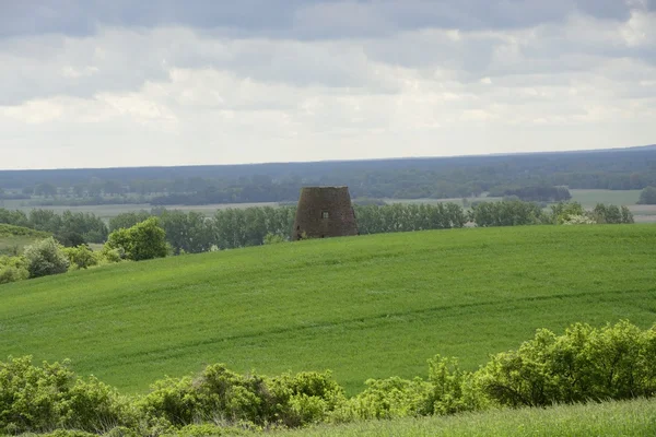 Fuori città - paesaggio rurale - un vecchio mulino a vento sul fiel — Foto Stock