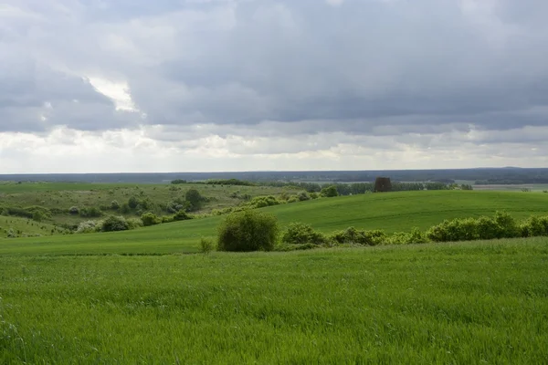 Außerhalb der Stadt - ländliche Landschaft - eine alte Windmühle am Fels — Stockfoto