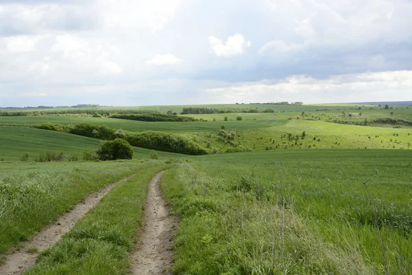 Utanför staden - landsbygdens landskap - ett fält — Stockfoto