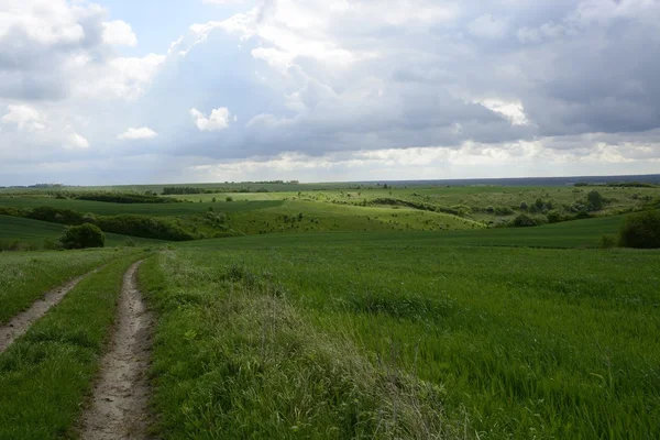 En dehors de la ville - paysage rural - un champ — Photo