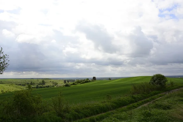 Fuori città - paesaggio rurale - un vecchio mulino a vento sul fiel — Foto Stock