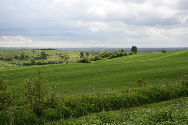 Fuori città - paesaggio rurale - un vecchio mulino a vento sul fiel — Foto Stock