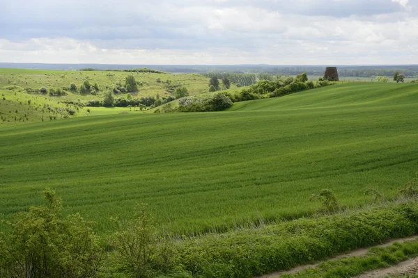 Utanför staden - landsbygdens landskap - en gammal väderkvarn på fiel — Stockfoto