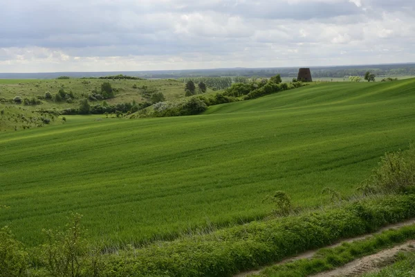 Outside the city - rural landscape - an old windmill on the fiel — Stock Photo, Image