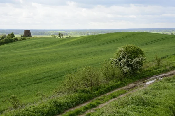 Fuori città - paesaggio rurale - un vecchio mulino a vento sul fiel — Foto Stock