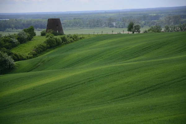 Fuera de la ciudad - paisaje rural - un antiguo molino de viento en el fiel — Foto de Stock