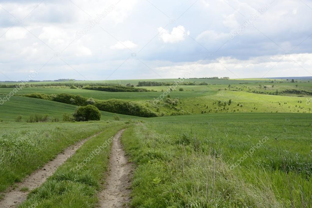 Outside the city - rural landscape - a field