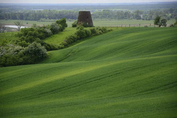 Fuera de la ciudad - paisaje rural - un antiguo molino de viento en el fiel — Foto de Stock