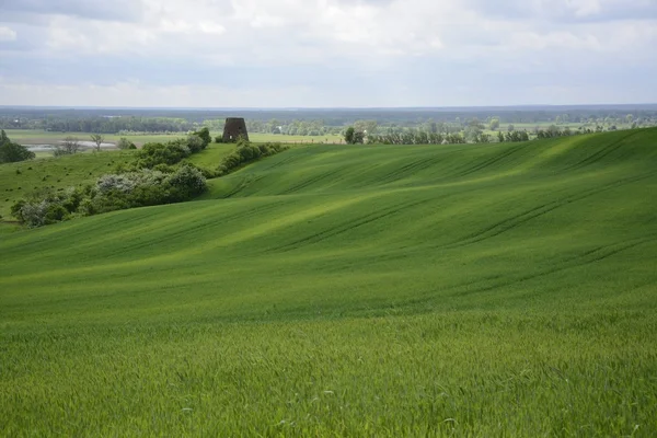 Fuori città - paesaggio rurale - un vecchio mulino a vento sul fiel — Foto Stock