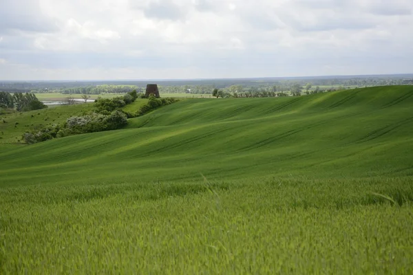 Außerhalb der Stadt - ländliche Landschaft - eine alte Windmühle am Fels — Stockfoto