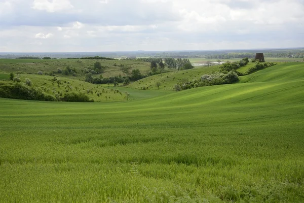 -Kırsal manzara - şehir dışında fiel üzerinde eski bir yel değirmeni