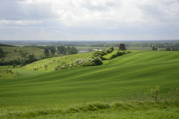 -Kırsal manzara - şehir dışında fiel üzerinde eski bir yel değirmeni