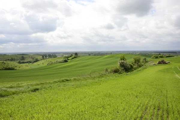 Fuori città - paesaggio rurale - un vecchio mulino a vento sul fiel — Foto Stock