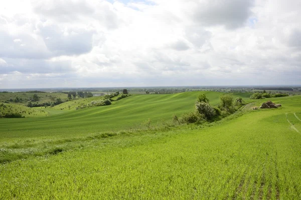 En dehors de la ville - paysage rural - un vieux moulin à vent sur le terrain — Photo