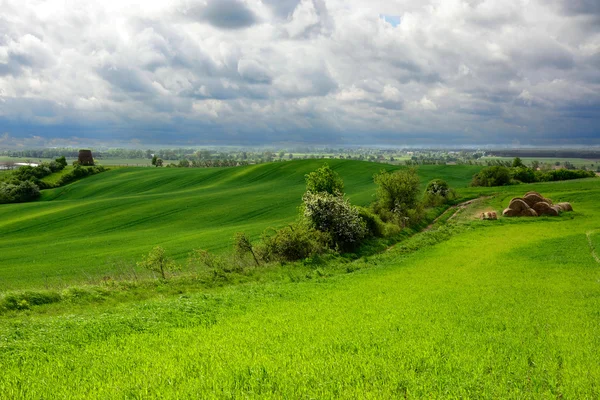 Fora da cidade - paisagem rural - um velho moinho de vento na fiel — Fotografia de Stock