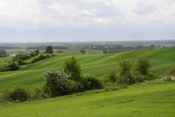 Fuori città - paesaggio rurale - un vecchio mulino a vento sul fiel — Foto Stock