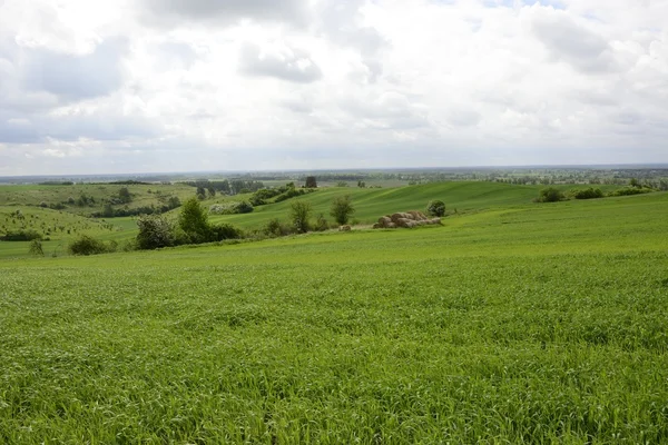 Fuori città - paesaggio rurale - un vecchio mulino a vento sul fiel — Foto Stock