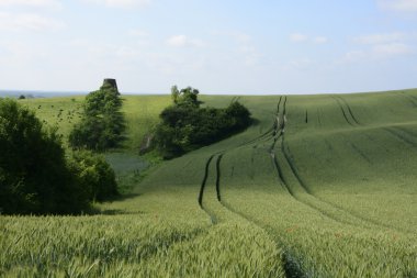 -Kırsal manzara - şehir dışında fiel üzerinde eski bir yel değirmeni