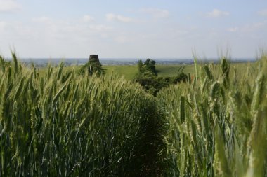 -Kırsal manzara - şehir dışında fiel üzerinde eski bir yel değirmeni