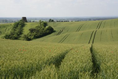 -Kırsal manzara - şehir dışında fiel üzerinde eski bir yel değirmeni