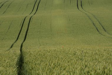 -Kırsal manzara - şehir dışında bir alan