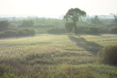 Sisli, güneşli sabah Nehri üzerinde.