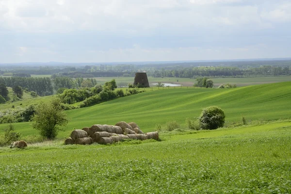 Fuori città - paesaggio rurale - un vecchio mulino a vento sul fiel — Foto Stock