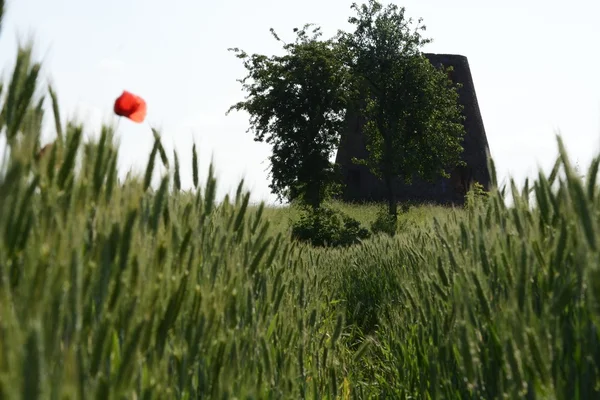 Buiten de stad - landschap - een oude windmolen op de fiel — Stockfoto