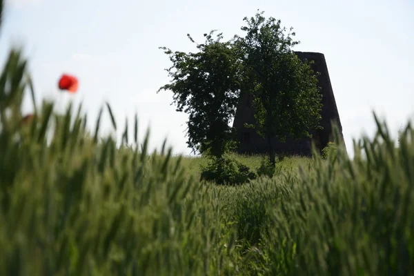 Outside the city - rural landscape - an old windmill on the fiel — Stock Photo, Image