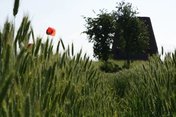 Außerhalb der Stadt - ländliche Landschaft - eine alte Windmühle am Fels — Stockfoto