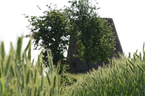 Buiten de stad - landschap - een oude windmolen op de fiel — Stockfoto