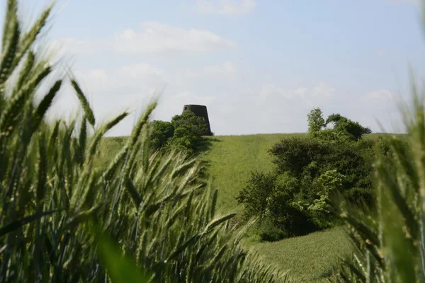 Fora da cidade - paisagem rural - um velho moinho de vento na fiel — Fotografia de Stock