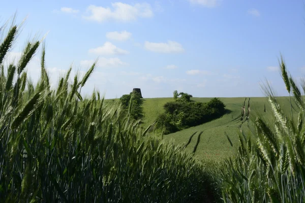 Außerhalb der Stadt - ländliche Landschaft - eine alte Windmühle am Fels — Stockfoto