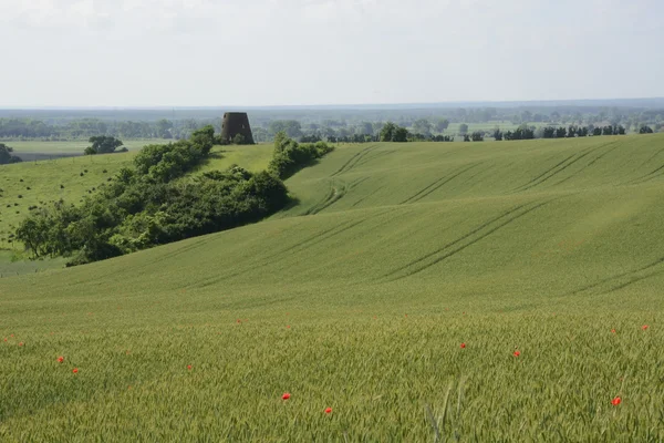 Fuori città - paesaggio rurale - un vecchio mulino a vento sul fiel — Foto Stock