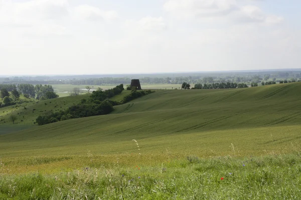 Fuori città - paesaggio rurale - un vecchio mulino a vento sul fiel — Foto Stock