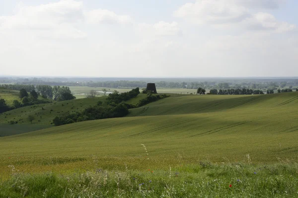 Fuori città - paesaggio rurale - un vecchio mulino a vento sul fiel — Foto Stock