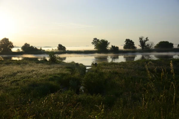 Mistige, zonnige ochtend op de rivier. — Stockfoto