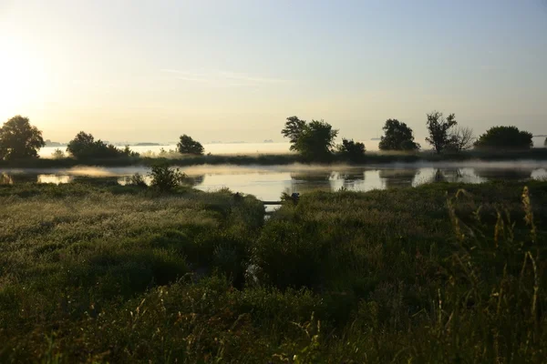 Mistige, zonnige ochtend op de rivier. — Stockfoto